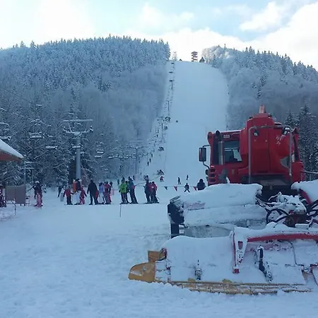 Проживание в семье Wanda Валбжих