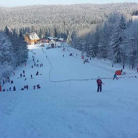 Wanda Проживание в семье *