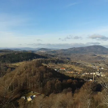 Wanda Проживание в семье *