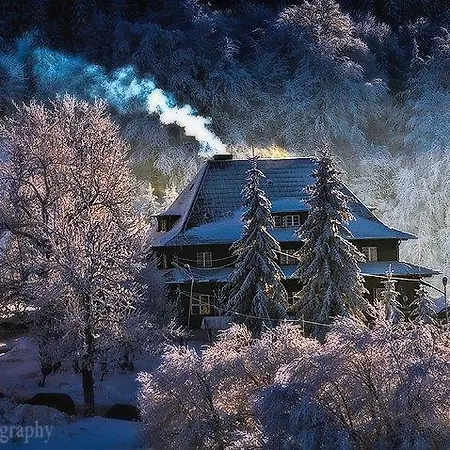 Проживание в семье Wanda