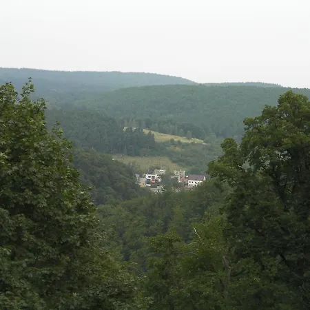 Проживание в семье Wanda