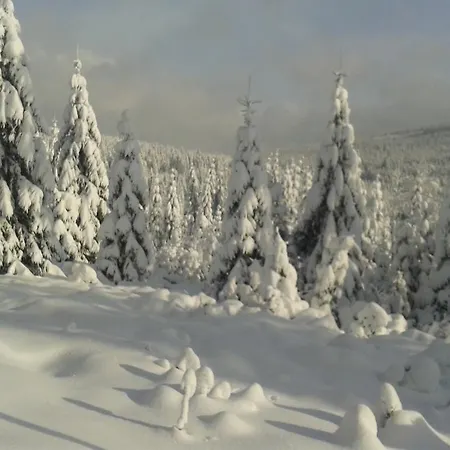 Wanda * Валбжих